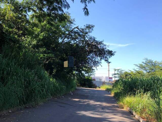 Terreno para Venda em Goiânia - 4