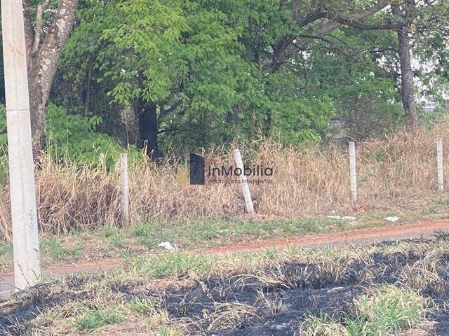 Área para Venda em Aparecida de Goiânia - 5