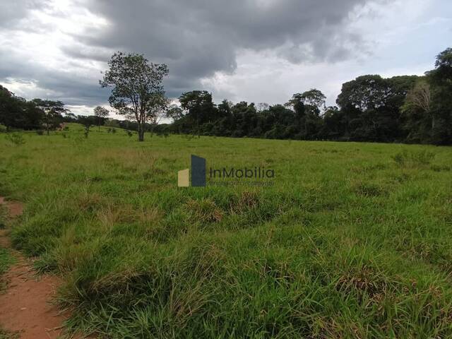 #0011 - Fazenda para Venda em Bela Vista de Goiás - GO - 2