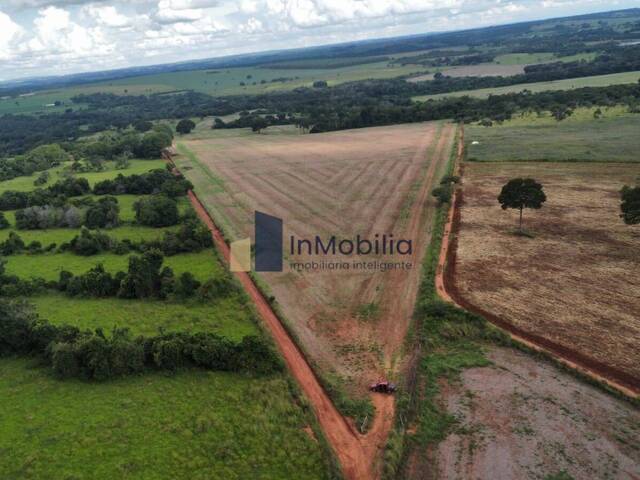 #0011 - Fazenda para Venda em Bela Vista de Goiás - GO - 3