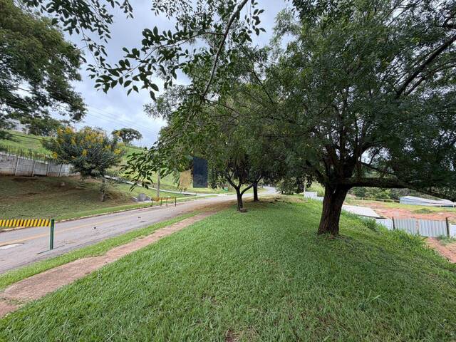 #81 - Área para Venda em Goiânia - GO - 3