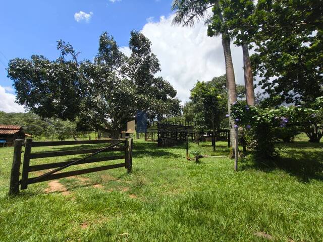 #159 - Chácara para Venda em Itapuranga - GO - 2
