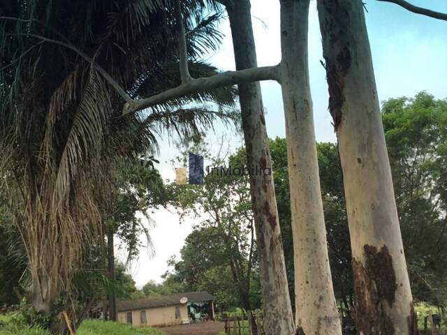 Área para Venda em Goiânia - 2