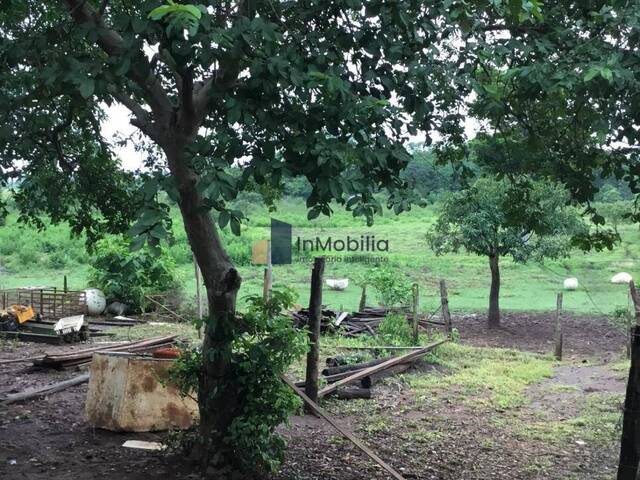 Área para Venda em Goiânia - 3