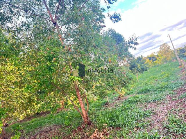 Chácara para Venda em Goiânia - 5